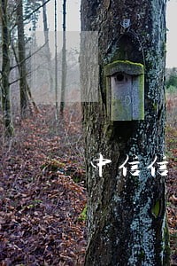 中信信用卡逾期3000元 中信信用卡逾期3000元