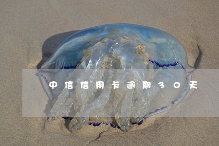 中信信用卡逾期30天 中信信用卡逾期30天