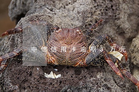 中信信用卡逾期3万元