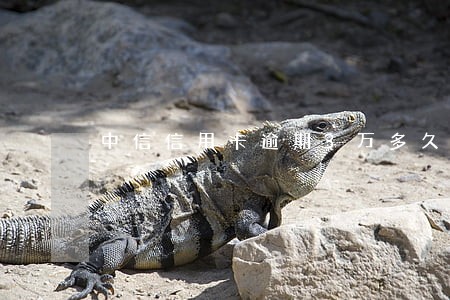 中信信用卡逾期3万多久上门 中信信用卡逾期3万多久上门