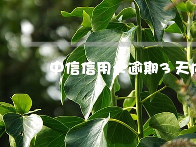 中信信用卡逾期3天内算逾期吗 中信信用卡逾期3天内算逾期吗