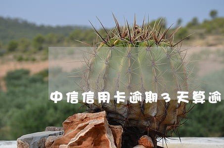 中信信用卡逾期3天算逾期吗 中信信用卡逾期3天算逾期吗