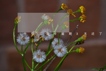 中信信用卡逾期3天还了最低额度