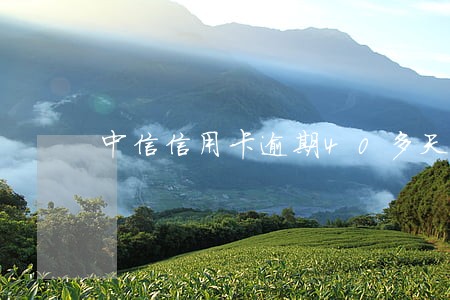 中信信用卡逾期40多天 中信信用卡逾期40多天