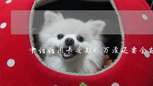 中信信用卡逾期4万没还要全额还 中信信用卡逾期4万没还要全额还