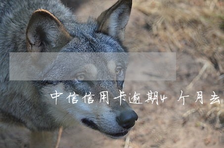 中信信用卡逾期4个月去法务部