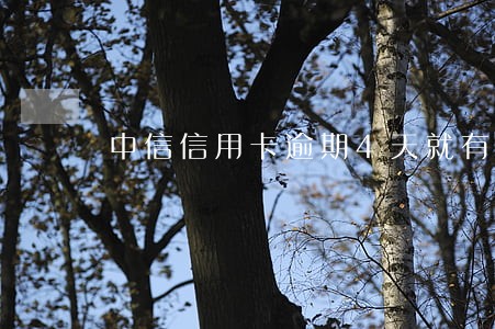 中信信用卡逾期4天就有专员