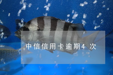 中信信用卡逾期4次 中信信用卡逾期4次