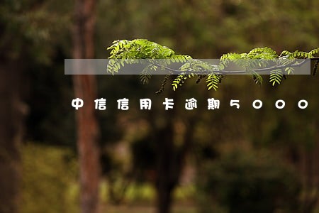 中信信用卡逾期5000能协商吗