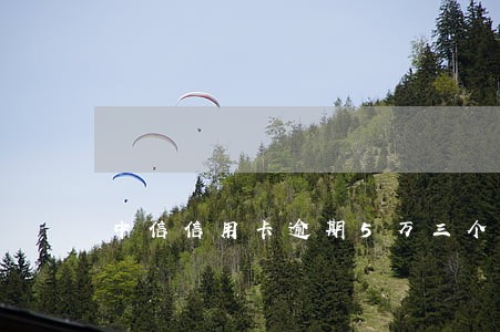 中信信用卡逾期5万三个月 中信信用卡逾期5万三个月