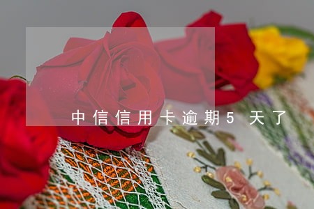 中信信用卡逾期5天了 中信信用卡逾期5天了
