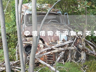 中信信用卡逾期5天怎么办 中信信用卡逾期5天怎么办