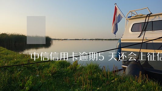 中信信用卡逾期5天还会上征信吗 中信信用卡逾期5天还会上征信吗