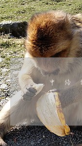 中信信用卡逾期60天催收 中信信用卡逾期60天催收