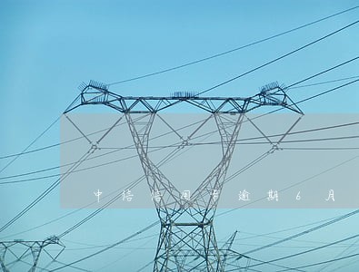 中信信用卡逾期6月 中信信用卡逾期6月