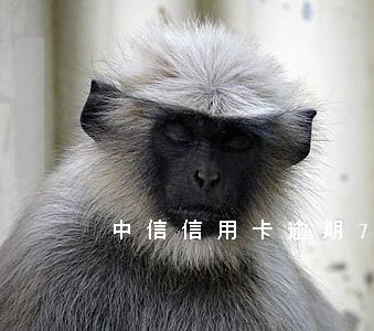 中信信用卡逾期7万多 中信信用卡逾期7万多