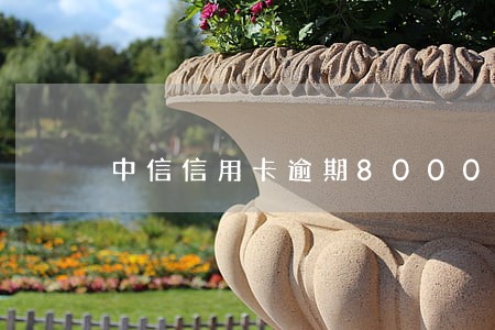 中信信用卡逾期8000元怎么办 中信信用卡逾期8000元怎么办