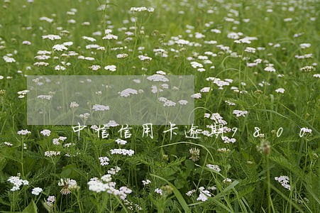 中信信用卡逾期9800 中信信用卡逾期9800