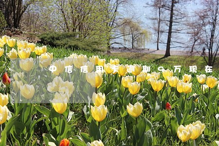 中信信用卡逾期9万现在
