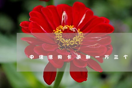 中信信用卡逾期一万三个月