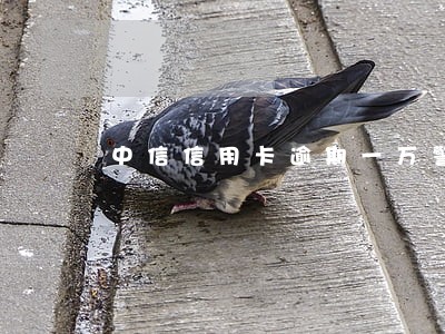 中信信用卡逾期一万警察到家
