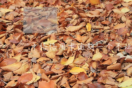 中信信用卡逾期一个不让用了