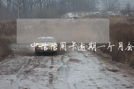 中信信用卡逾期一个月会怎样 中信信用卡逾期一个月会怎样