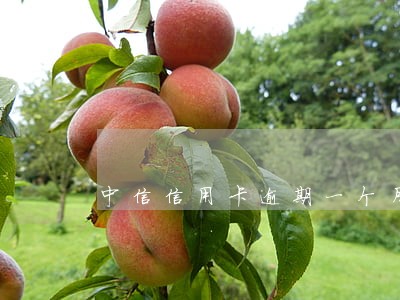 中信信用卡逾期一个月征信 中信信用卡逾期一个月征信