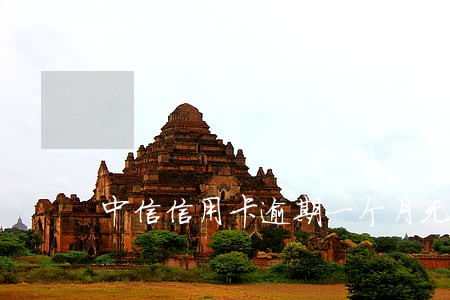 中信信用卡逾期一个月无效卡 中信信用卡逾期一个月无效卡