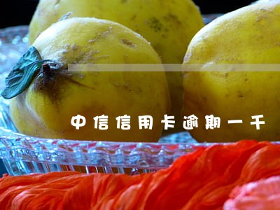 中信信用卡逾期一千 中信信用卡逾期一千