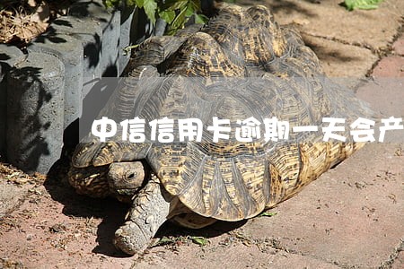 中信信用卡逾期一天会产生利息吗 中信信用卡逾期一天会产生利息吗