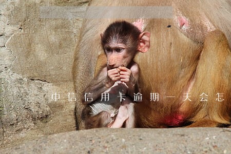 中信信用卡逾期一天会怎样