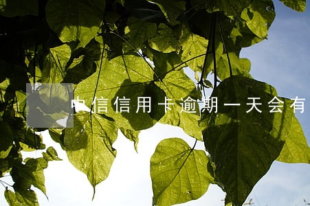 中信信用卡逾期一天会有影响吗 中信信用卡逾期一天会有影响吗