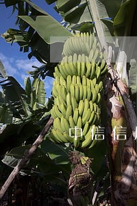 中信信用卡逾期一天就打电话