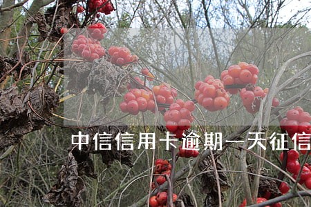 中信信用卡逾期一天征信有显示吗