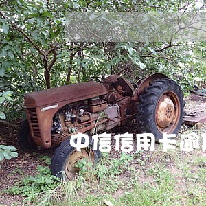 中信信用卡逾期一天怎样还款 中信信用卡逾期一天怎样还款