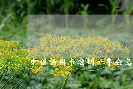中信信用卡逾期一年会怎样 中信信用卡逾期一年会怎样