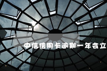 中信信用卡逾期一年会立案嘛 中信信用卡逾期一年会立案嘛