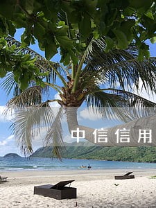 中信信用卡逾期一年半了怎么办 中信信用卡逾期一年半了怎么办