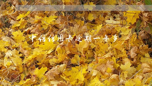中信信用卡逾期一年多