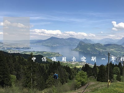 中信信用卡逾期一年找谁协商管用