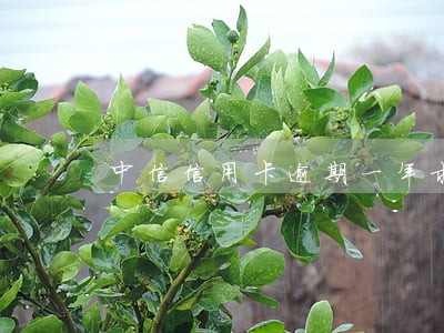 中信信用卡逾期一年求解