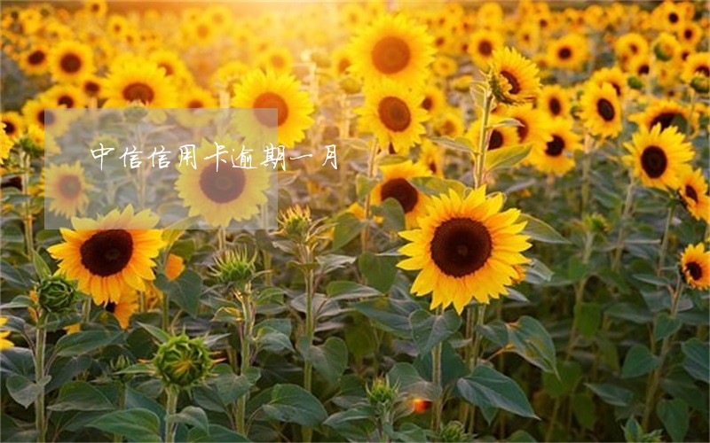 中信信用卡逾期一月 中信信用卡逾期一月