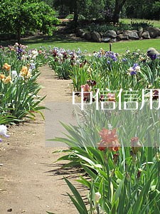 中信信用卡逾期一次严重吗 中信信用卡逾期一次严重吗