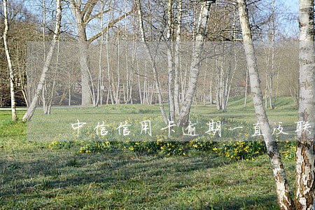 中信信用卡逾期一直没联系 中信信用卡逾期一直没联系