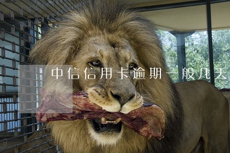 中信信用卡逾期一般几天上征信