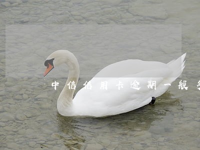 中信信用卡逾期一般多久会被告