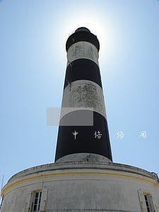 中信信用卡逾期七万 中信信用卡逾期七万