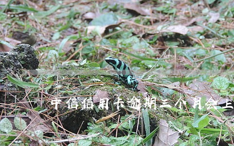 中信信用卡逾期三个月会上门 中信信用卡逾期三个月会上门