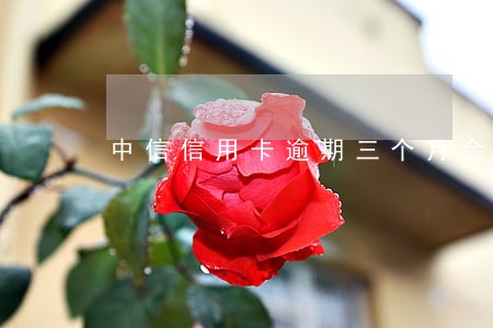 中信信用卡逾期三个月会怎么样 中信信用卡逾期三个月会怎么样